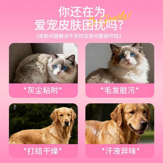 宠安仕皮肤喷剂100ml 犬猫通用 草本配方 无刺激 猫癣狗癣 整箱77瓶 【全渠道可售】 商品图4