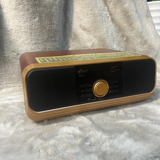 【内含3518项正版国学内容】国学第一股 神尔天才  SR-F1  复古桌面HIFI蓝牙5.0音响 国学经典点读机 商品图3