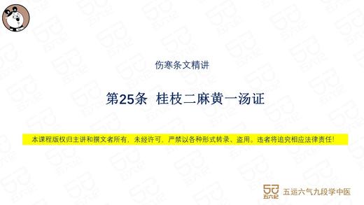 伤寒第25条 桂枝二麻黄一汤证 商品图0
