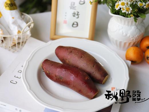 【秋野蜜芋】蜜薯红薯软糯香甜又热量极低 肉质绵密不水，蒸烤出来以后软软糯糯 为人体提供丰富的维生素族群-CC 商品图6