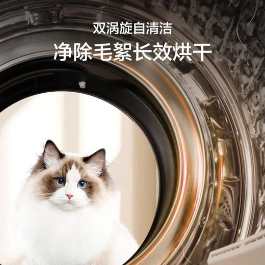 海尔追光系列837 直驱精华洗 双涡旋自清洁XQG100-HBE837 商品图5