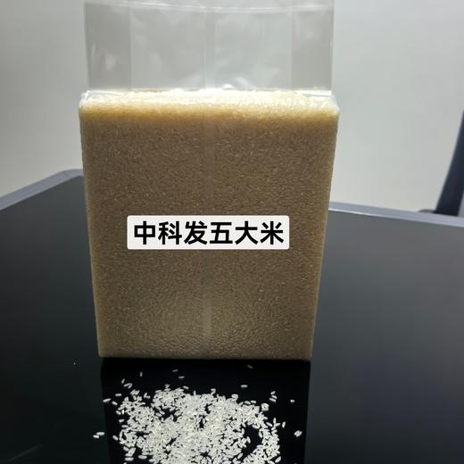 【活动：买30斤稻花香2号 送7斤碎米】五常大米 鸭田稻花香2号&中科发5号 商品图2