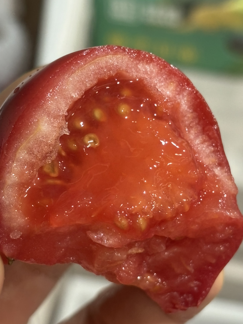 野番茄🍅味道浓郁鲜甜 回味超好！有机种植！有机水肥，做到0激素0残留，好吃更健康～