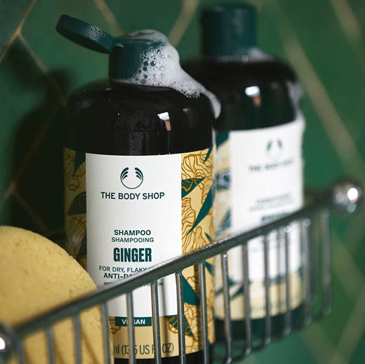 英国  The Body Shop美体小铺 生姜控油蓬松洗发水 400ml 商品图6