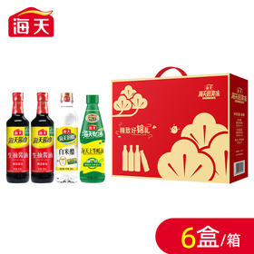 海天致美味-精致好锦礼