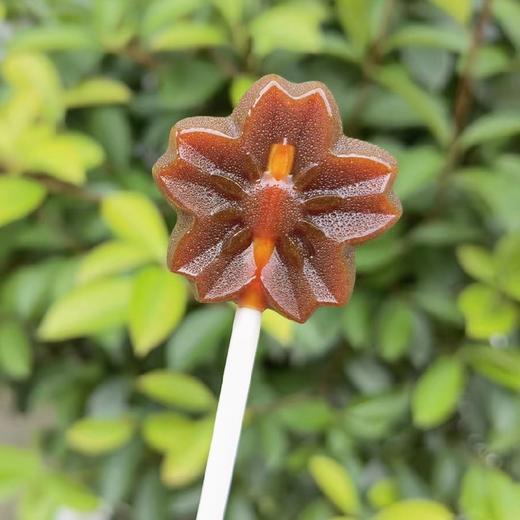 手工梨膏棒棒糖  80g/袋（个别融化点不影响食用） 商品图4