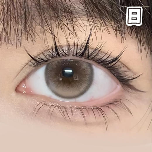 #晚安奶油 棕色 14.2mm【10片装】国产精品 / 日抛 商品图1