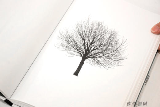 Todd Schulz: Five Leaves Left / 托德·舒尔茨：五叶飘零 商品图2