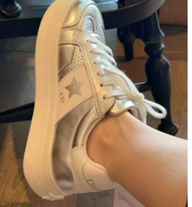 专拍 迪奥 银色休闲运动鞋（ZX*DBG）