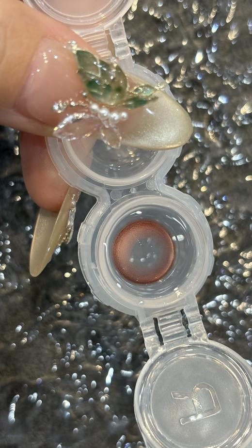 Chonos日抛·黑湖珍珠/樱桃豆沙·14.2直径·中等着色·10片装 商品图5