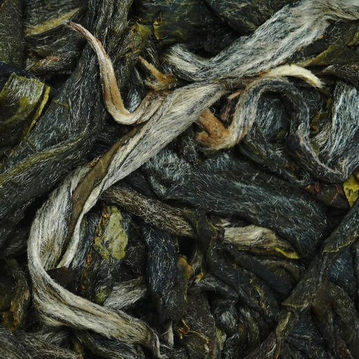 云鼎昌【2021年昔归】2021年临沧昔归古树纯料普洱生茶200g 商品图4