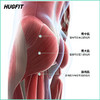 HUGFIT格菲特美臀仪 yb1022010 商品缩略图1