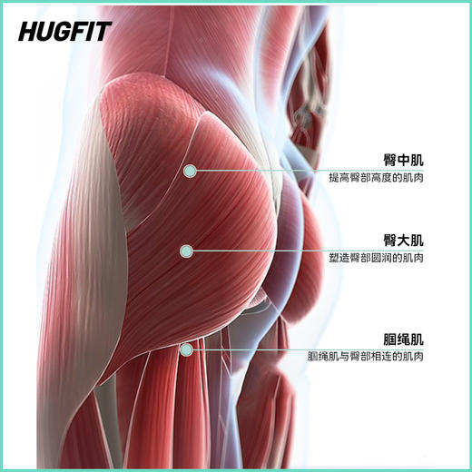 HUGFIT格菲特美臀仪 yb1022010 商品图1