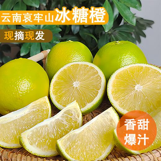 云南玉溪哀牢山冰糖橙新鲜橙子手剥甜橙绿橙青皮橙当季水果包邮 商品图0