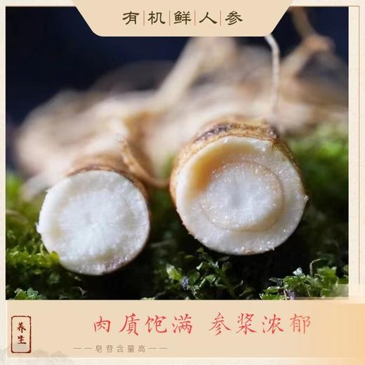 热卖中！！2025新鲜上市！长白山脉核心产区抚松有机鲜人参 商品图1