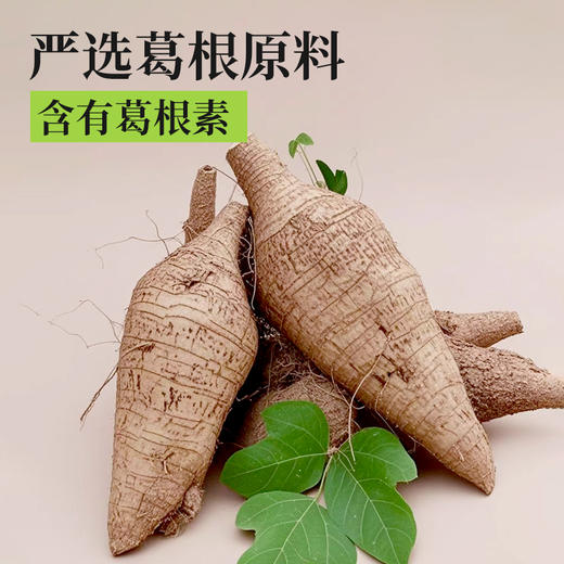 【自研新品开售：3盒送1盒】兰渚堂 麦冬葛根粉 商品图1