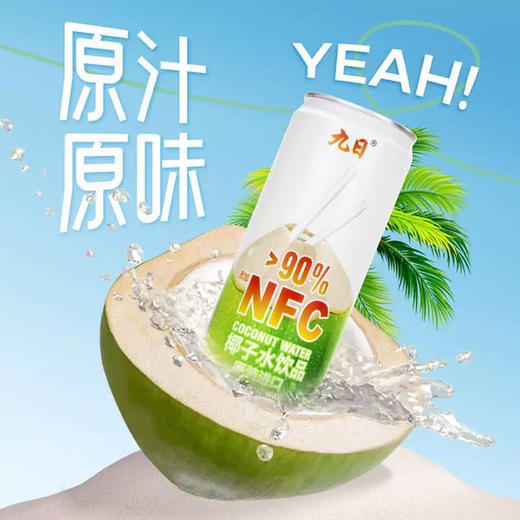 九日冰祖椰子水罐装320ml 商品图0