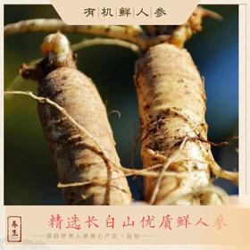热卖中！！2025新鲜上市！长白山脉核心产区抚松有机鲜人参