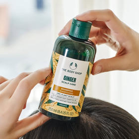 英国  The Body Shop美体小铺 生姜控油蓬松洗发水 400ml