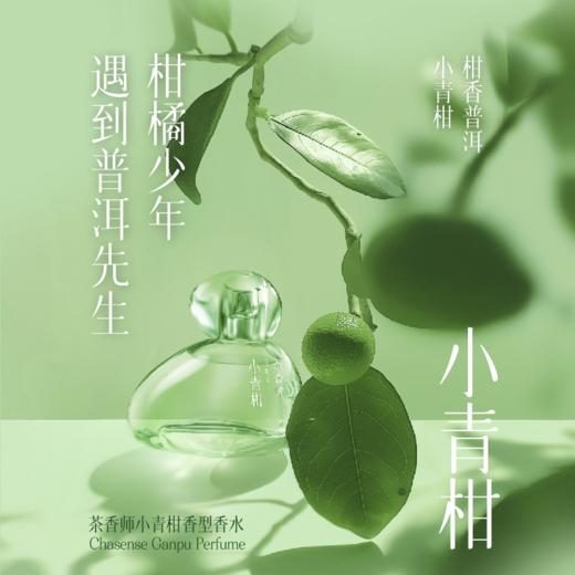 茶香师中国茶世界茶香水系列50ml：碎银子/白毫银针/碧螺春/铁观音/小青柑/大吉岭茶 /薄荷茶/奶茶/抹茶/商队茶 商品图5