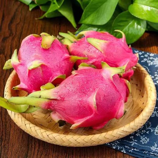 白肉火龙果4个装 /份 商品图0