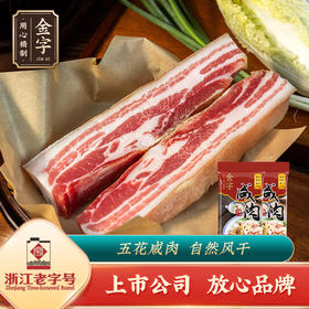 金字后腿咸肉220gx2腌笃鲜家常食材无骨腌腊肉火肉配菜炖春笋