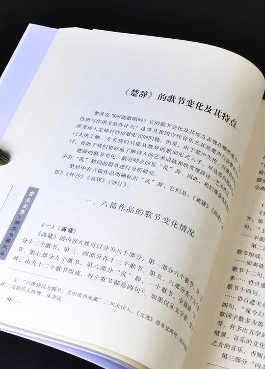 特惠！！云南文库学术名家文丛：《楚辞译注》《楚辞论丛》，16开，段光憙、赵浩如著，云南人民出版社2015年版，315+305页，每册定价60元，两册定价120，售价32元，单册售价18元。 商品图5