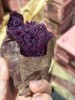 冰淇淋紫薯，哇塞，吃了你肯定星星眼，就像甜品刚出炉！精心种植，全程不使用农药，安全有营养。 商品缩略图2