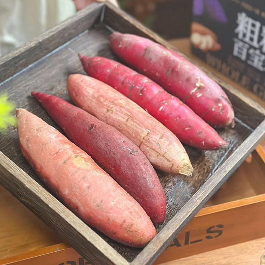 【五色五味 】五拼番薯 番薯组合 烟薯/蜂蜜紫薯/榴莲蜜薯/哈密冰糖薯/红瑶蜜薯 商品图3