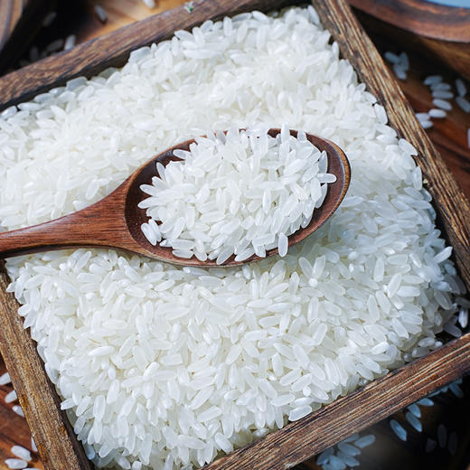 【尝鲜装】和粮溢田 五常大米1kg 软劲弹糯 清香回甘 48小时发货 商品图3