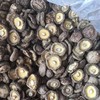 剪脚干菇  //  有机认证，2025年新菇，无农化种植，无熏硫，柴火烘烤，冷藏保存 商品缩略图2
