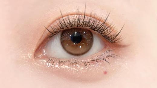 Chonos日抛·快乐椰·14.2直径·中等着色·10片装 商品图2