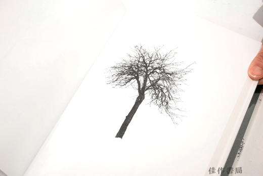 Todd Schulz: Five Leaves Left / 托德·舒尔茨：五叶飘零 商品图4