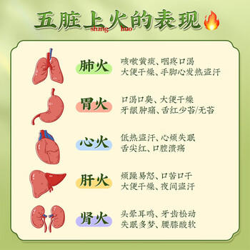 南同四海同仁堂菊花枸杞决明子金银花去火清热解毒养肝护肝熬夜养生茶包叶 /水饮冲调 /代用茶/花草茶/养生茶 /花草/草木茶 商品图7