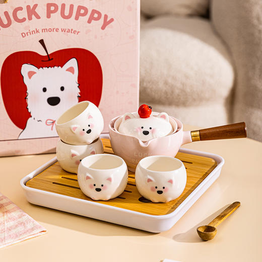 摩登主妇功夫茶具套装2025新款年轻人茶具泡茶专用女生高颜值茶壶 商品图0