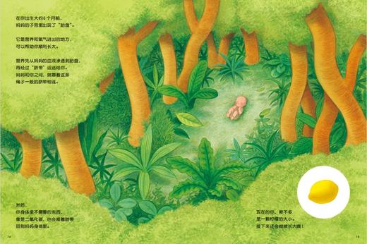 《你在妈妈肚子里的时候》精装一册  3-8岁   和孩子一起回顾不可思议又令人期待的10个月 入选探照灯童书榜5月十大翻译童书和绘本（2025年）和《父母必读》2025年童书排行榜暑期书单 商品图1