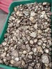 剪脚干菇  //  有机认证，2025年新菇，无农化种植，无熏硫，柴火烘烤，冷藏保存 商品缩略图3