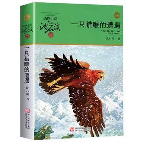 【独家旧书3折】儿童经典文库 一只猎雕的遭遇 二手书籍（新疆 西藏 甘肃 青海 海南不包邮）bj