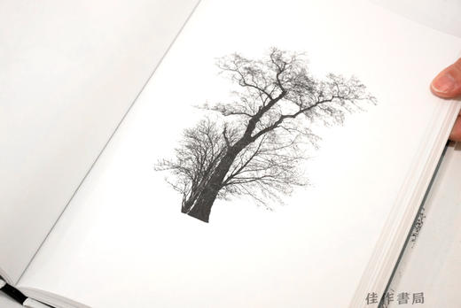 Todd Schulz: Five Leaves Left / 托德·舒尔茨：五叶飘零 商品图3