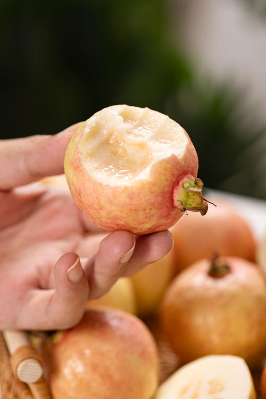 樱桃芭乐丨 比较娇嫩，树熟软糯，收到后及时放去冰箱冷藏，不要常温放。⭐️顺丰快递 商品图1