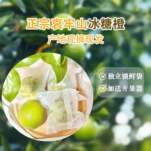 云南玉溪哀牢山冰糖橙新鲜橙子手剥甜橙绿橙青皮橙当季水果包邮 商品图3