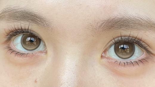 Chonos日抛·快乐椰·14.2直径·中等着色·10片装 商品图9