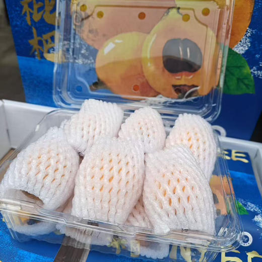 【居家必备树上熟枇杷】川宝鲜枇杷，家中常备，全家人都需要的水果 商品图4