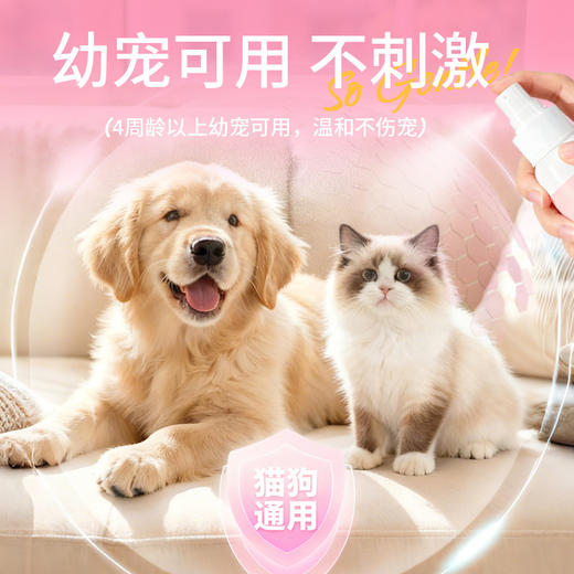 宠安仕皮肤喷剂100ml 犬猫通用 草本配方 无刺激 猫癣狗癣 整箱77瓶 【全渠道可售】 商品图3