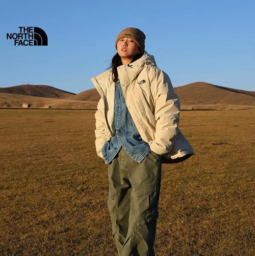 TheNorthFace北面超高克重派克工装鹅绒羽绒服101710 商品图3