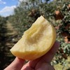 现摘现发【黄金维纳斯苹果】 原生态不打蜡，脆甜多汁，自带苹果香气 商品缩略图1