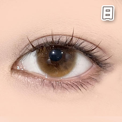 #日心可颂 金棕色 14.2mm【10片装】国产精品 / 日抛 商品图0