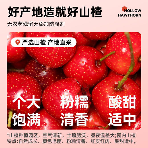 原味空心山楂无添加蔗糖独立包装无核蜜饯果脯无防腐剂官方旗舰店 商品图2