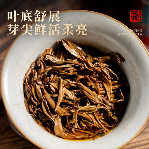【年货礼盒】茶叶 蜜香 金骏眉  高山红茶 茶叶礼盒 茶饮 五虎 200g 商品图3