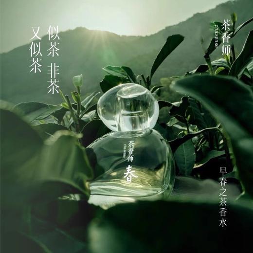 茶香师禅茶香水：和合之境/正如初念/不觉清欢/无心之雅/早春之茶50ml 商品图8